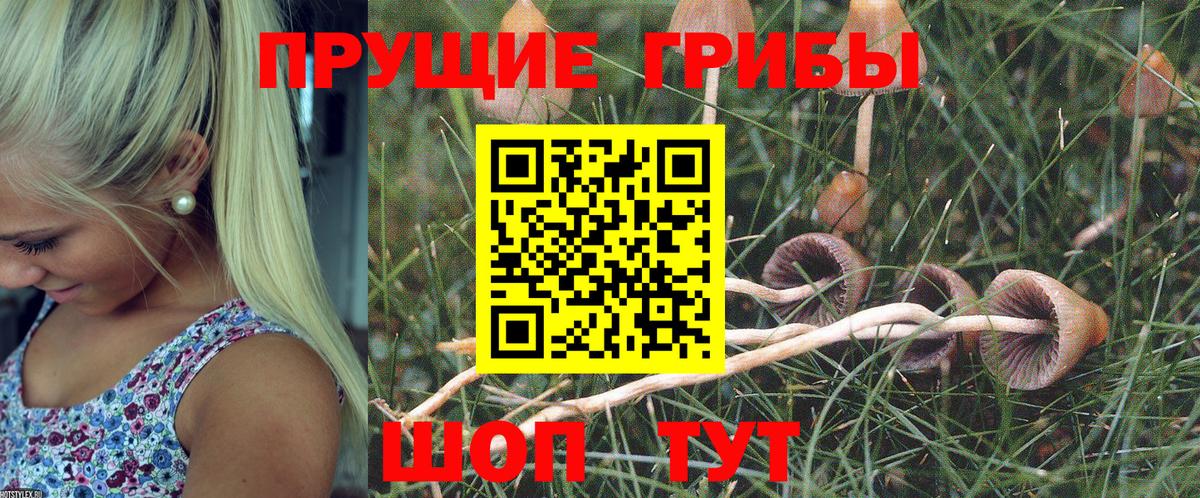 Псилоцибиновые грибы MAGIC MUSHROOMS  Вход с VPN  закладка  Кольчугино 